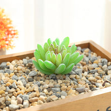 Load image into Gallery viewer, Lifelike Miniature Artificial Fleshy Cactus Plant Figurines Decoration DIY Fairy Garden Micro Landscape Potted Decor