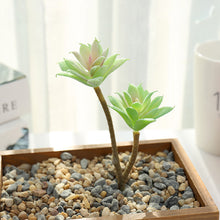 Load image into Gallery viewer, Lifelike Miniature Artificial Fleshy Cactus Plant Figurines Decoration DIY Fairy Garden Micro Landscape Potted Decor