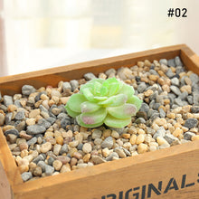 Load image into Gallery viewer, Lifelike Miniature Artificial Fleshy Cactus Plant Figurines Decoration DIY Fairy Garden Micro Landscape Potted Decor
