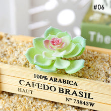 Load image into Gallery viewer, Lifelike Miniature Artificial Fleshy Cactus Plant Figurines Decoration DIY Fairy Garden Micro Landscape Potted Decor