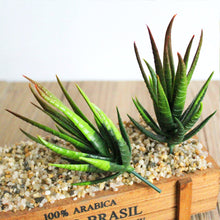 Load image into Gallery viewer, Lifelike Miniature Artificial Zebra Aloe Fleshy Cactus Plant Figurines Decoration DIY Fairy Garden Micro Landscape Potted Decor