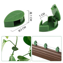 Load image into Gallery viewer, 10PCS Plant Climbing Wall Fixture Clips Self-Adhesive Invisible Vines Hook Support Rattan Vine Bracket Fixed Buckle Garden Wall Fixer Wire Fixing Snap