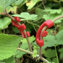 Load image into Gallery viewer, 10Pcs 90 Degree Plant Bender Plant Clips Plant Support Guides For Plants Clips For Plants Control Growth Curved Planting Fixing Clip