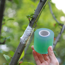Load image into Gallery viewer, 100M/Roll PVC Grafting Tape Garden Tools Fruit Tree Secateurs Engraft Branch Gardening Bind Belt Tie Tape