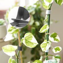Load image into Gallery viewer, 3M/Roll Green Nylon Plant Ties Garden Twine Plant Ties Nylon Plant Bandage Garden Hook Loop Bamboo Cane Wrap Support Accessories