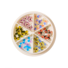 Load image into Gallery viewer, 1 Box Nail Art Stereo Butterfly Jewelry Acrylic Mini Nail Small Butterfly Jewelry Nail Art Decoration Manicure Accessories