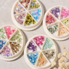 Load image into Gallery viewer, 1 Box Nail Art Stereo Butterfly Jewelry Acrylic Mini Nail Small Butterfly Jewelry Nail Art Decoration Manicure Accessories