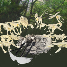 Load image into Gallery viewer, Dinosaur Fossil Excavation Kits Education Archeology Exquisite Jurassic Toy Set Game Action Children Figure Skeleton Model Gift