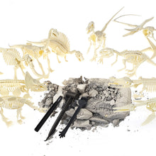 Load image into Gallery viewer, Dinosaur Fossil Excavation Kits Education Archeology Exquisite Jurassic Toy Set Game Action Children Figure Skeleton Model Gift
