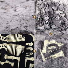 Load image into Gallery viewer, Dinosaur Fossil Excavation Kits Education Archeology Exquisite Jurassic Toy Set Game Action Children Figure Skeleton Model Gift