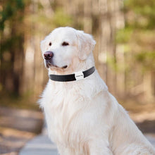Load image into Gallery viewer, Pet GPS Waterproof Locator Bluetooth Wireless Cat and Dog Tracker Animal Finder Manufacturer Supply