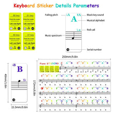 Load image into Gallery viewer, 49 / 61/ 76 / 88 Key Colorful Transparent Removable Piano Stickers Keyboards Detachable Music Decal Notes for Hand Roll Piano Eelectric Piano