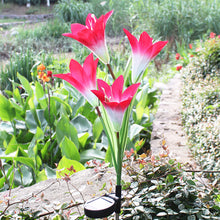 Load image into Gallery viewer, Lily Flowers Solar Light LED Fireworks Lamp Solar Powered Waterproof Outdoor Garden Light Lawn Automatic Lamp
