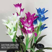 Load image into Gallery viewer, Lily Flowers Solar Light LED Fireworks Lamp Solar Powered Waterproof Outdoor Garden Light Lawn Automatic Lamp