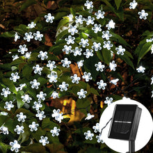Load image into Gallery viewer, Sakura Flower Solar Fairy Lights String 5m/10m 100LED Garden Cherry Blossom Garland Lights 8 Mode Flashing Christmas Party Outdoor Hanging Lights Solar Powered