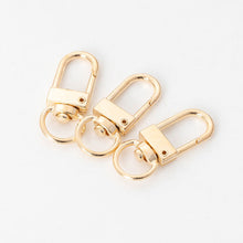 Load image into Gallery viewer, 10pcs Durable Metal Carabiner Clip Style Spring Key Chain Keyring Swivel Lobster Clasp Clips Key Hooks for Hanging