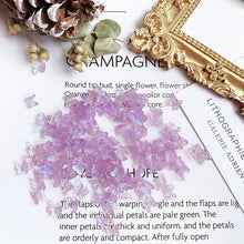 Load image into Gallery viewer, 50pcs Nail Art Butterfly Jewelry Three-dimensional Aurora Symphony Butterfly Jewelry Versatile Nail Decoration Manicure Accessories