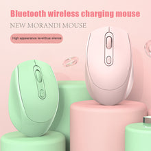 Load image into Gallery viewer, Bluetooth Wireless Mouse Silent Business Laptop Desktop Home Office Unisex 1600dpi Ergonomic Mouse For Computer