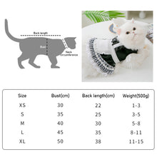 Load image into Gallery viewer, Spring Summer Cat Lace Dress Pet Lace Slip Skirts Pet Clothes Comfortable Soft Puppuy Dogs Cats Dress Pet Clothes