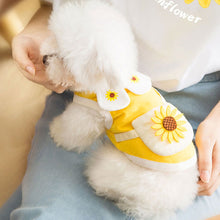 Load image into Gallery viewer, Spring Summer Pet Hoodie Puppy Dog Cat Vest Shirt Two-legged Cartoon Pet Clothes Teddy Bichon Pomeranian Schnauze Dog Clothes