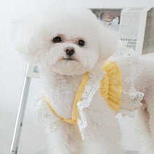 Load image into Gallery viewer, Spring Summer Cat Princess Dress Pet Lace Skirts Pet Clothes Comfortable Soft Puppuy Dogs Cats Dress Pet Clothes