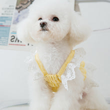 Load image into Gallery viewer, Spring Summer Cat Princess Dress Pet Lace Skirts Pet Clothes Comfortable Soft Puppuy Dogs Cats Dress Pet Clothes