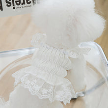 Load image into Gallery viewer, Spring Summer Cat Princess Dress Pet Lace Skirts Pet Clothes Comfortable Soft Puppuy Dogs Cats Dress Pet Clothes