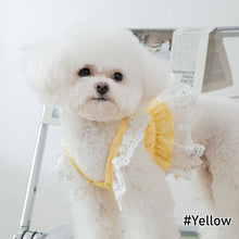 Load image into Gallery viewer, Spring Summer Cat Princess Dress Pet Lace Skirts Pet Clothes Comfortable Soft Puppuy Dogs Cats Dress Pet Clothes