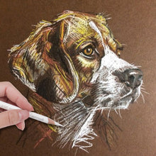 Load image into Gallery viewer, 3pcs High-light White Sketch Charcoal Carbon Pencil Art Student Special Hand-painted HB Painting Drawing Exam Pen
