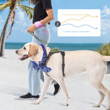 Load image into Gallery viewer, Summer Pet Cooling Ice Scarf Cool Ice Towel Heatstroke Dogs Cats Ice Scarf Collar Cooling Adjustable Cat Collar Bib Dog Supplies