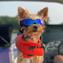 Load image into Gallery viewer, Outdoor Pet Cat Dog Fashion Sunglasses Cycling Pet Dog Sunglasses Dog Glasses Uv Protection Portable Adjustable Pet Glasses