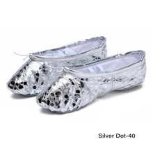 Load image into Gallery viewer, Little Princess Shining Girls Ballet Shoes Soft Sole Ballet Dance Slippers Girls Ladies Ballerina Ballet Shoes Women Gymnastics Dance Shoes