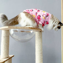 Load image into Gallery viewer, Summer Pet Dog Dress Pet Skirts Comfortable Soft and Elastic Puppuy Dogs Cats Princess Dress Pet Clothes XS-XL