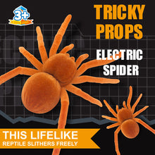Load image into Gallery viewer, Simulated Spider Toy Cat Electric Vibration Spider Toys Pet Kitten Spider Toys Simution Cockroach Tricky Toys Insect Model