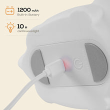 Load image into Gallery viewer, Cute Dinosaur Tap Night Light Silicone Animal Atmosphere Lamp Children Kids Holiday Gift Dimmable Sleeping Night Lamp 5V USB Charging