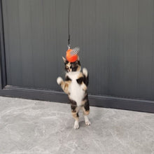 Load image into Gallery viewer, Simulation Bird Cat Interactive Toys Retractable Door Hanging Feather Toys Cat Scratch Rope Mouse Funny Teaser Traning Toys Interactive Mouse Toy Pet Supplies