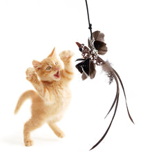 Load image into Gallery viewer, Simulation Bird Cat Interactive Toys Retractable Door Hanging Feather Toys Cat Scratch Rope Mouse Funny Teaser Traning Toys Interactive Mouse Toy Pet Supplies