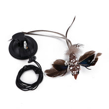 Load image into Gallery viewer, Simulation Bird Cat Interactive Toys Retractable Door Hanging Feather Toys Cat Scratch Rope Mouse Funny Teaser Traning Toys Interactive Mouse Toy Pet Supplies