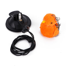 Load image into Gallery viewer, Simulation Bird Cat Interactive Toys Retractable Door Hanging Feather Toys Cat Scratch Rope Mouse Funny Teaser Traning Toys Interactive Mouse Toy Pet Supplies