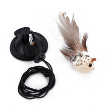 Load image into Gallery viewer, Simulation Bird Cat Interactive Toys Retractable Door Hanging Feather Toys Cat Scratch Rope Mouse Funny Teaser Traning Toys Interactive Mouse Toy Pet Supplies