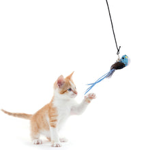 Load image into Gallery viewer, Simulation Bird Cat Interactive Toys Retractable Door Hanging Feather Toys Cat Scratch Rope Mouse Funny Teaser Traning Toys Interactive Mouse Toy Pet Supplies