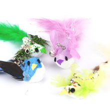 Load image into Gallery viewer, Simulation Bird Cat Interactive Toys Retractable Door Hanging Feather Toys Cat Scratch Rope Mouse Funny Teaser Traning Toys Interactive Mouse Toy Pet Supplies