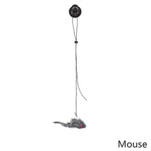 Load image into Gallery viewer, Simulation Bird Cat Interactive Toys Retractable Door Hanging Feather Toys Cat Scratch Rope Mouse Funny Teaser Traning Toys Interactive Mouse Toy Pet Supplies