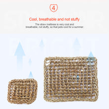 Load image into Gallery viewer, Reptile Lizard Hammock Hamster Reptile Grass Mat Pet Bed Seaweed Hammock Swing Pet Reptile Toy Hanging Bed Mat Hanging Sofas