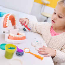Load image into Gallery viewer, Kids Montessori Educational Toys Children's Oral Simulation Teeth Model Kids Intelligence Brushing Tooth Teaching Aids Simulated Practical Life