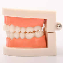 Load image into Gallery viewer, Kids Montessori Educational Toys Children's Oral Simulation Teeth Model Kids Intelligence Brushing Tooth Teaching Aids Simulated Practical Life