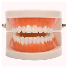 Load image into Gallery viewer, Kids Montessori Educational Toys Children's Oral Simulation Teeth Model Kids Intelligence Brushing Tooth Teaching Aids Simulated Practical Life