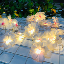 Load image into Gallery viewer, 1.5M/3M Holiday Flower Light String Wedding Decoration LED Fairy Lights Christmas Xmas Decorative Garland LED String Light USB/Battery Powered Light