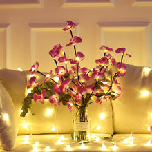 Load image into Gallery viewer, 20LED Simulated Butterfly Orchid Flower Light Strip Christmas Home Docoration Branch Lamp Holiday Wedding Decor Light