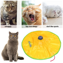 Load image into Gallery viewer, Electric Automatic Cat Toy 4 Speed Funny Pet Turntable Interactive Intelligence Amusement Game Rotating Cat Toys Cats Supplies
